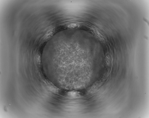 X0000095530375200712281527