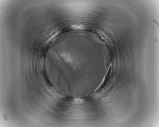 X0000095530376200712281527