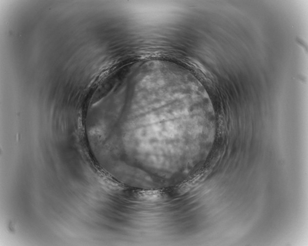 X0000095530377200712281527