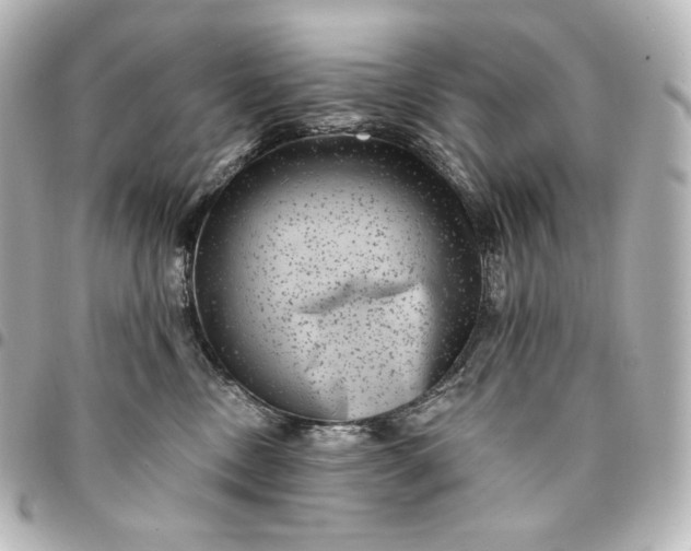 X0000095530378200712281527