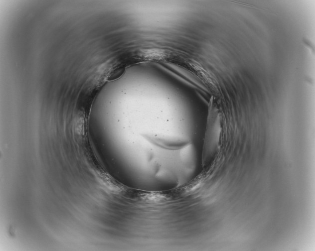 X0000095530379200712281527