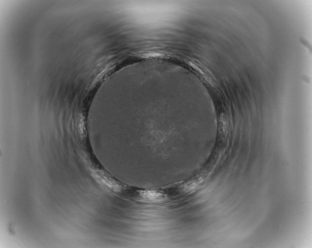X0000095530380200712281527