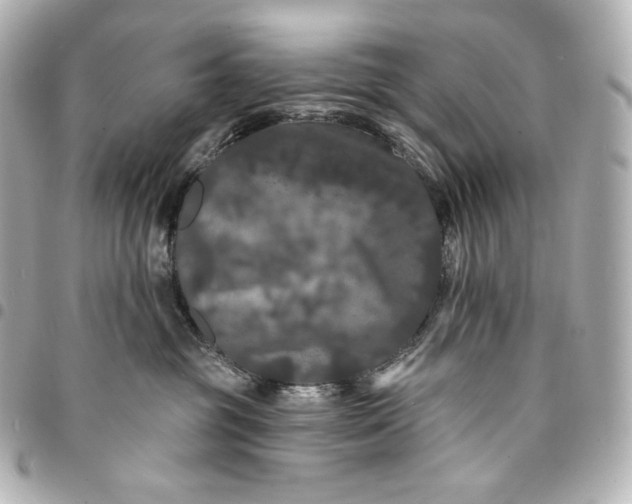 X0000095530381200712281527