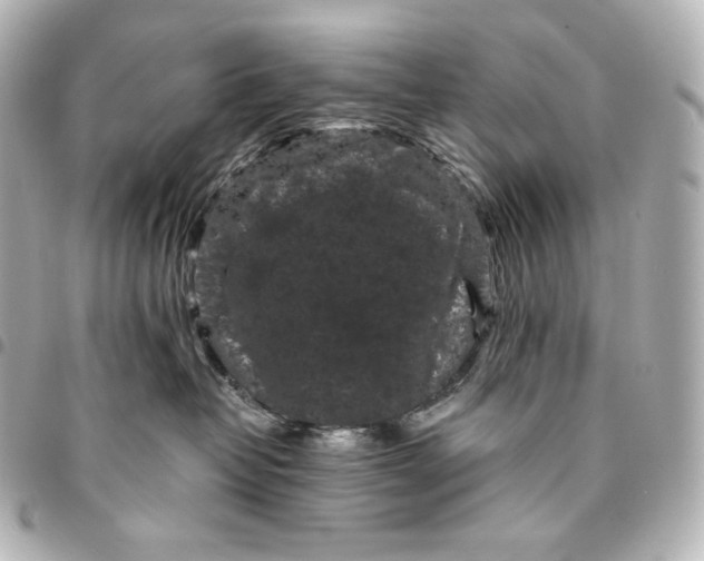 X0000095530382200712281527