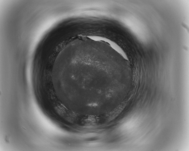 X0000095530383200712281527