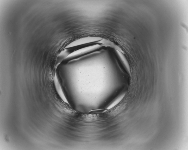 X0000095530384200712281527