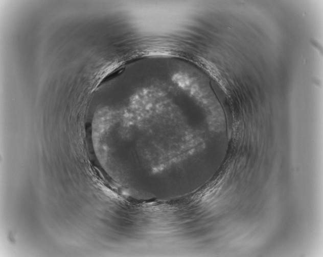 X0000095530385200712281526