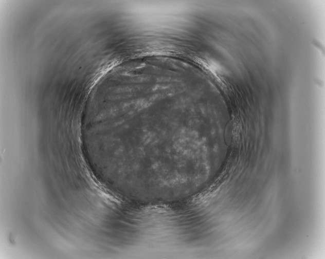 X0000095530386200712281526