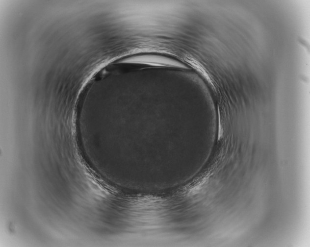 X0000095530387200712281526