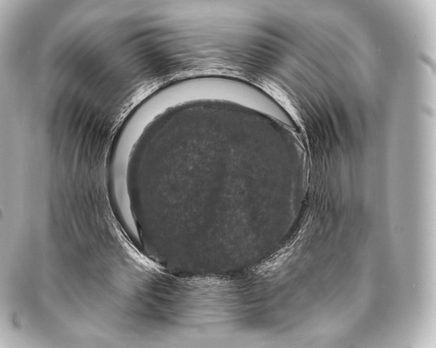 X0000095530389200712281526
