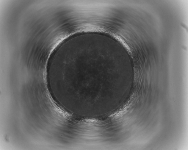 X0000095530391200712281526
