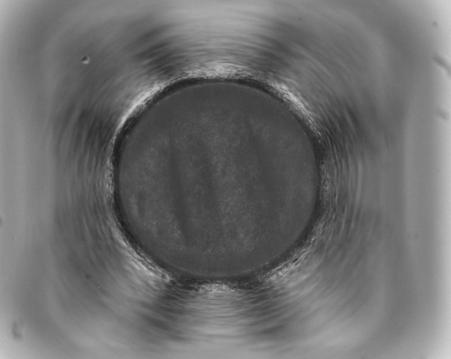 X0000095530392200712281526