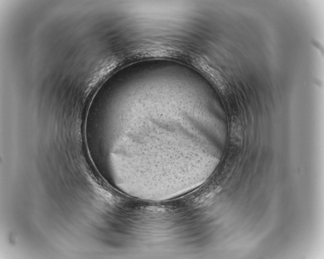 X0000095530394200712281526