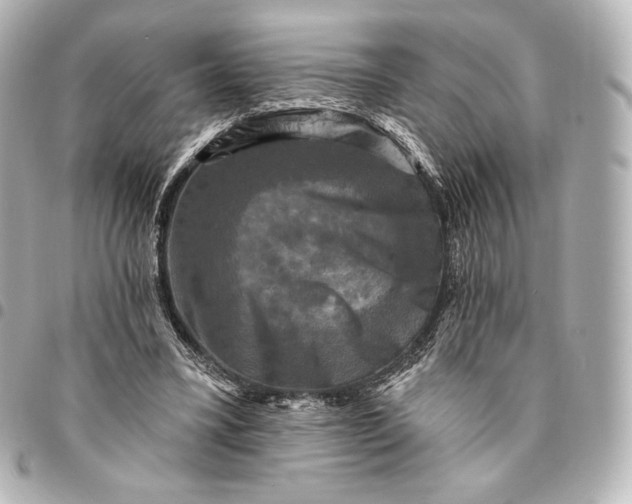 X0000095530395200712281526
