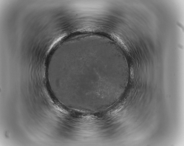 X0000095530396200712281526