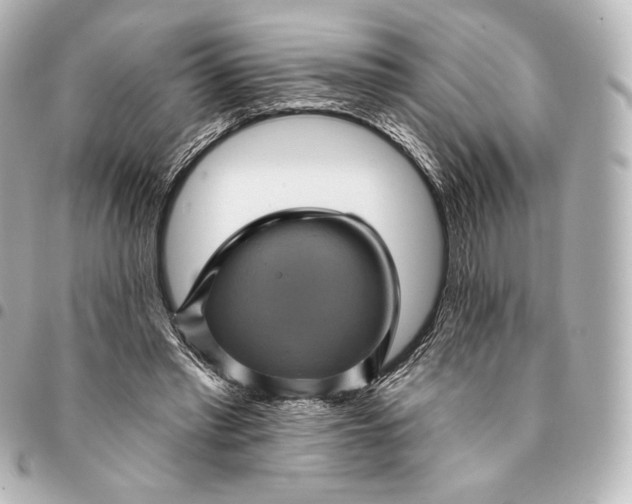 X0000095530397200712281526