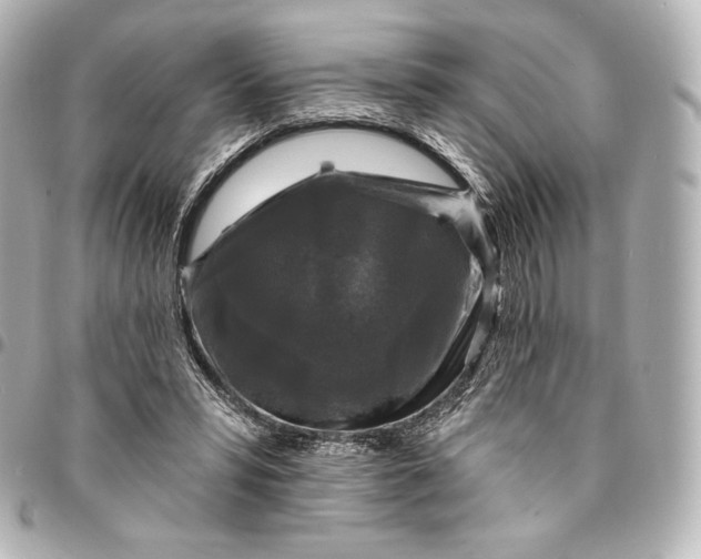 X0000095530399200712281526