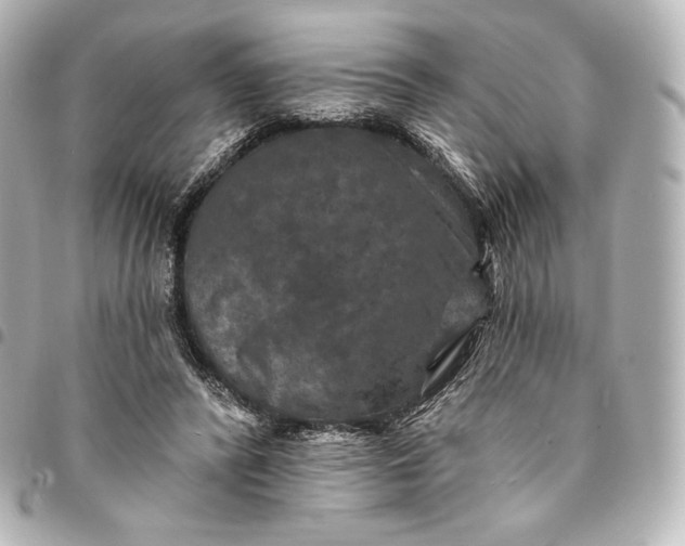 X0000095530400200712281526