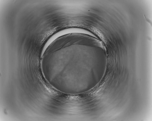 X0000095530401200712281526