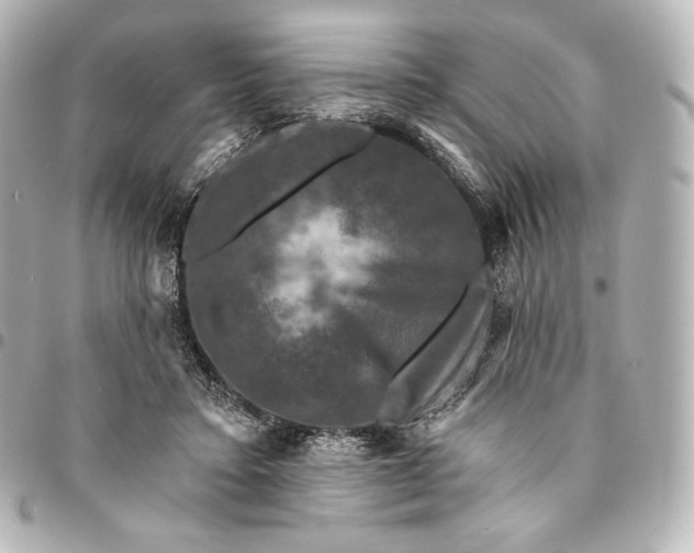 X0000095530403200712281526