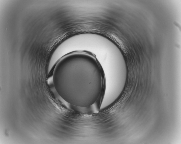 X0000095530405200712281526