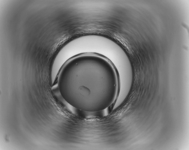 X0000095530407200712281526