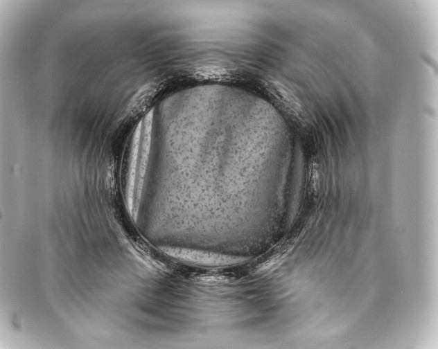 X0000095530408200712281526