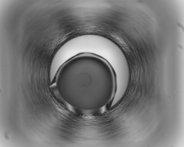 X0000095530409200712281526