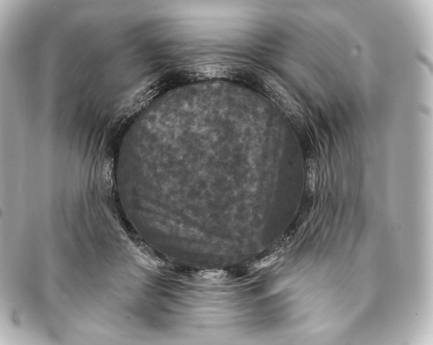 X0000095530410200712281526