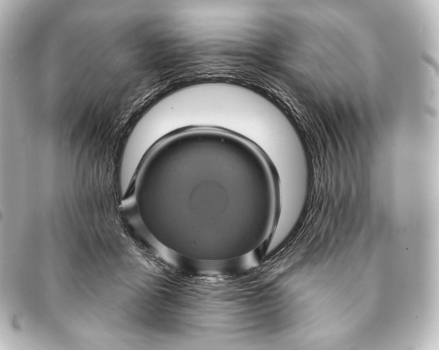 X0000095530411200712281526