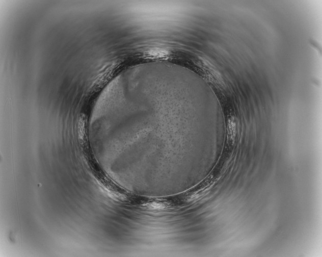 X0000095530412200712281526