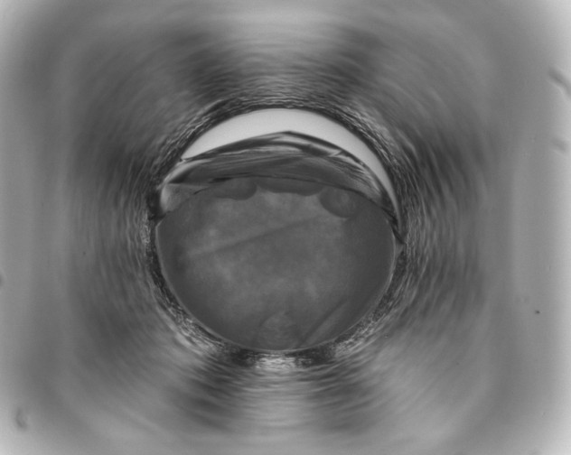 X0000095530413200712281526