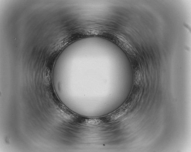 X0000095530414200712281526