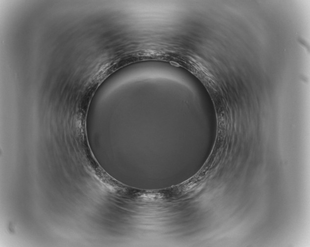 X0000095530415200712281526