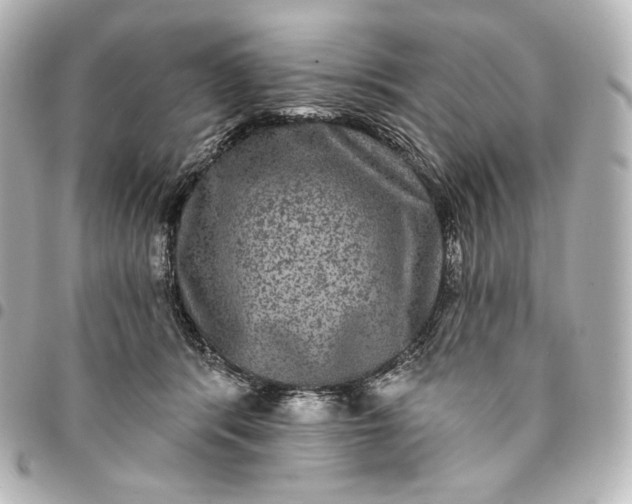 X0000095530416200712281526