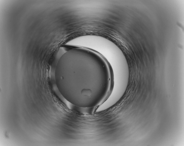 X0000095530417200712281526