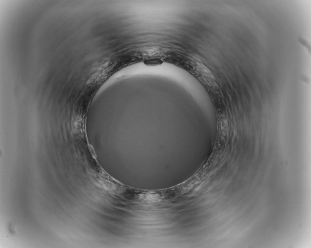 X0000095530419200712281526