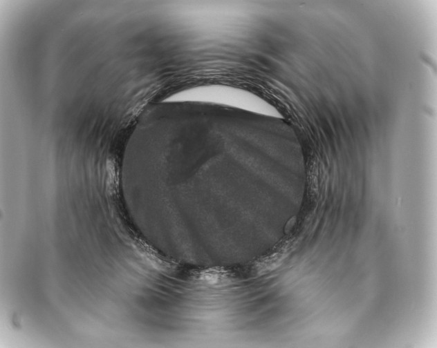 X0000095530420200712281526