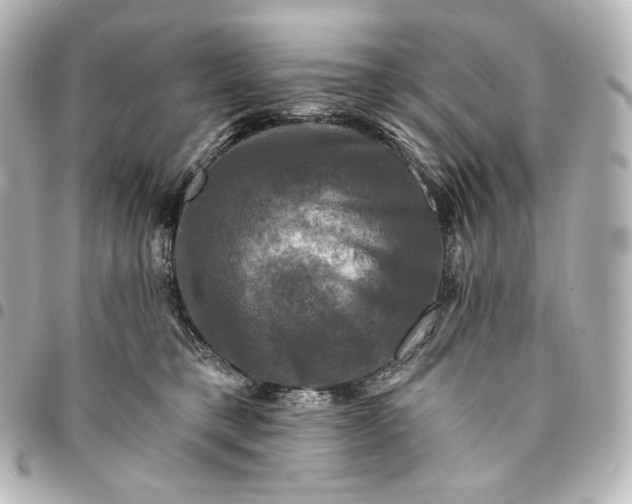 X0000095530421200712281526