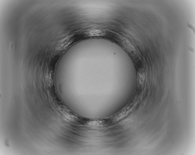 X0000095530422200712281526