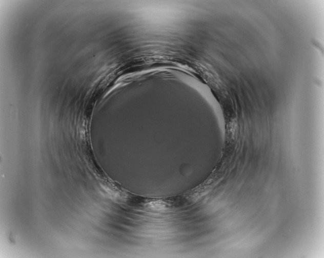 X0000095530423200712281526
