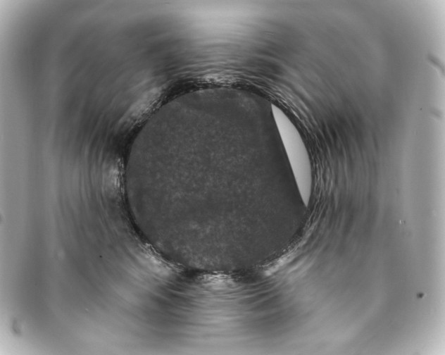 X0000095530424200712281526