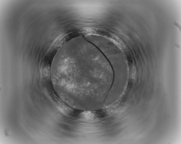 X0000095530425200712281526