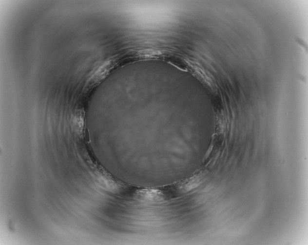 X0000095530427200712281526