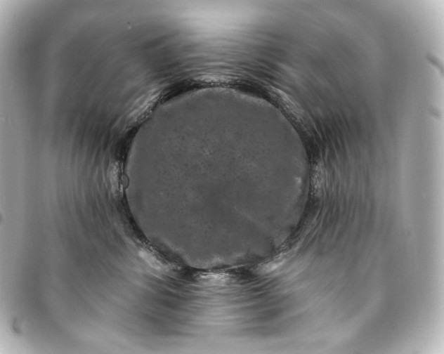 X0000095530428200712281526