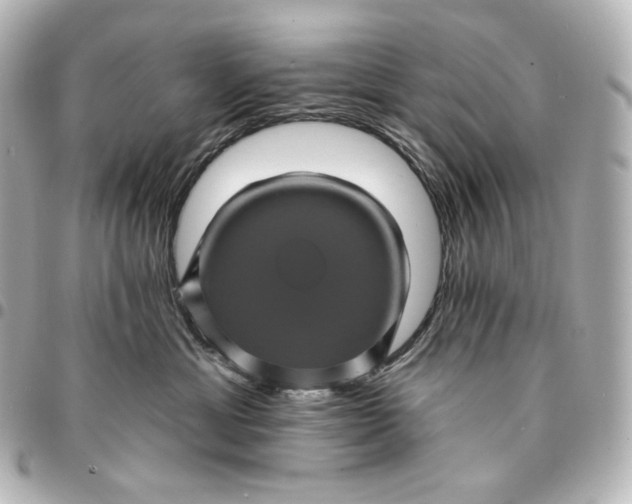X0000095530429200712281526