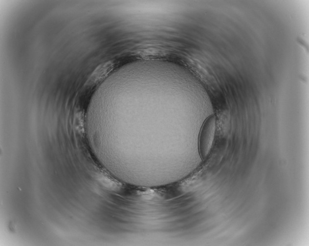 X0000095530430200712281526