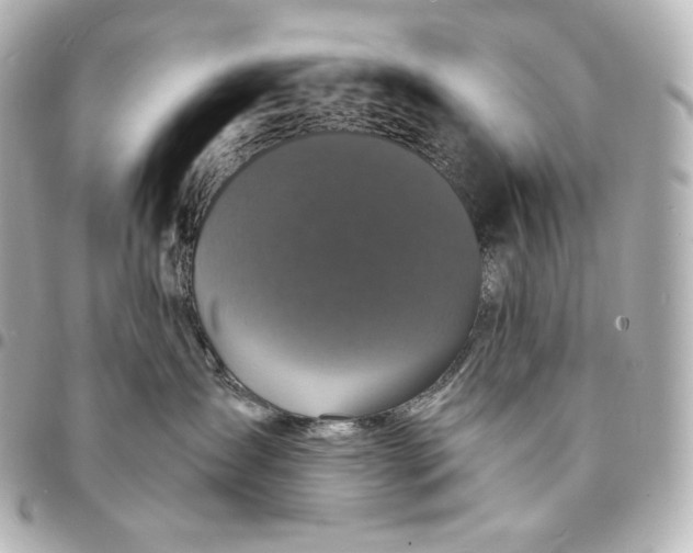X0000095530431200712281526