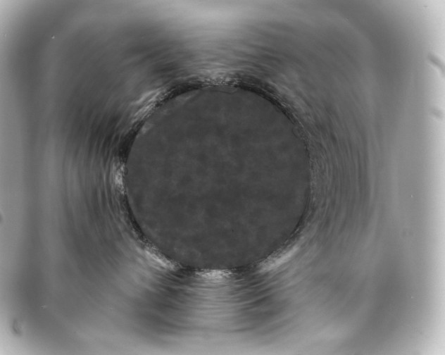 X0000095530432200712281526