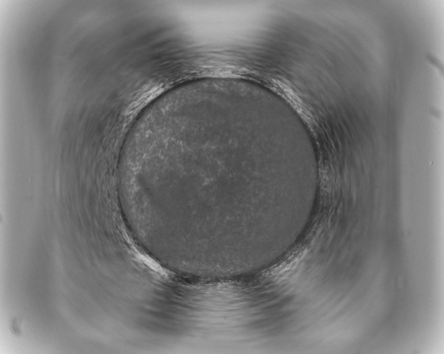X0000095530433200712281525
